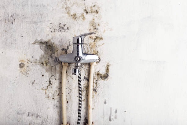 Certified Mold Removal in Chelsea, AL