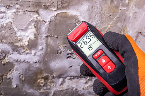 Best Attic Mold Removal  in Chelsea, AL